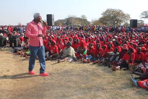 Image result for MDC-T legislator Eric Murai