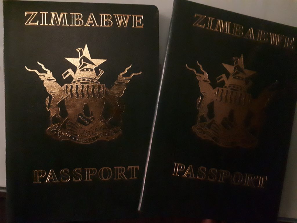 New Ids For Cyclone Idai Victims Zimeye 6665