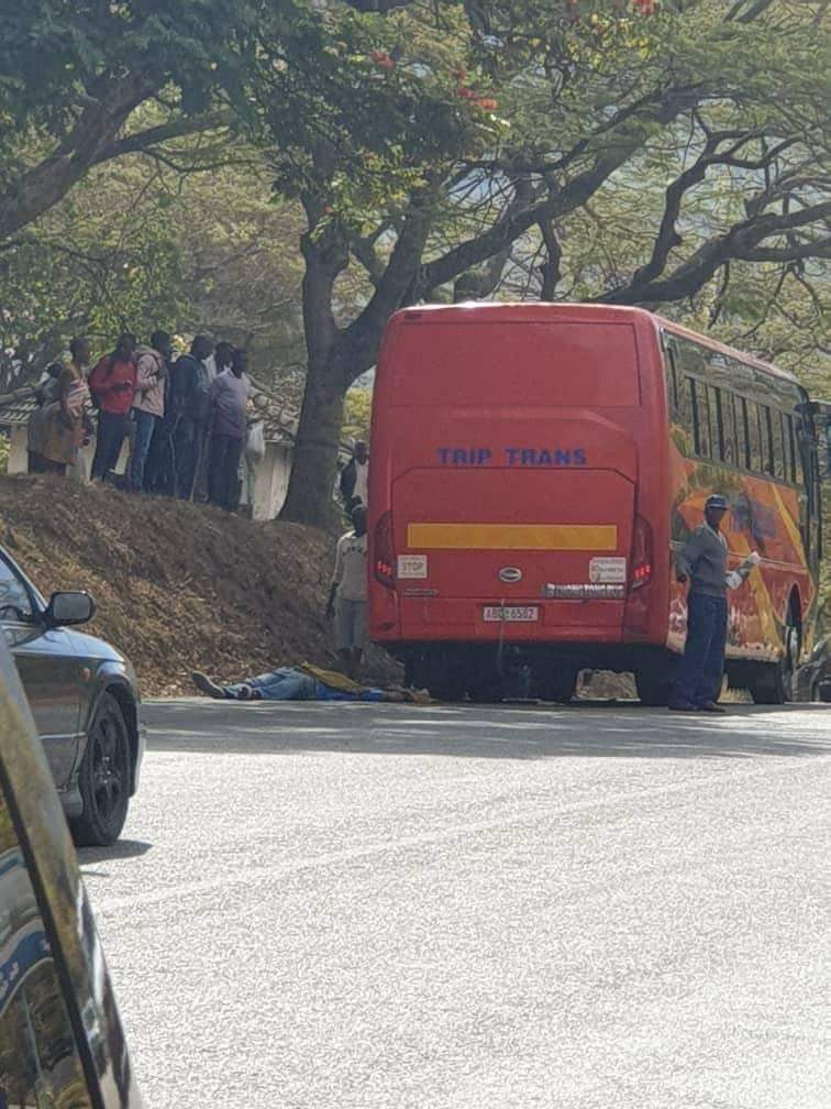 trip trans bus accident